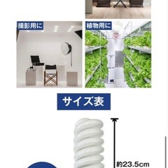 10個 スパイラル蛍光灯 500W 電球型 昼光色 E26口金 撮影 照明の画像