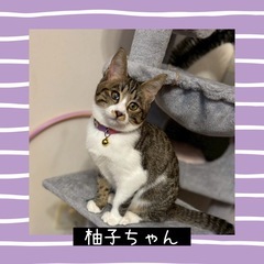 まんまるムクムク❤️柚子ちゃん