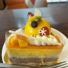 11月19日(水) ケーキ食べ放題🍰