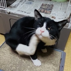 寒くない温かいお家に迎えてください😌