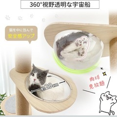 キャットタワーの画像