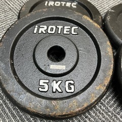 【4枚セット】 IROTEC アイアンプレート 5kg の画像
