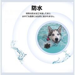ドッグ 靴下 肉球 保護 シール 48枚入 犬靴 犬 滑り止め 肉球パッド ペット 足裏 怪我防止 シリコン 防水 フローリング 散歩 室内 脱げない ドッグシューズ 老犬の画像