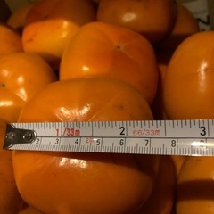 C【お取り引き】決定渋抜き済み柿　平柿　種無し柿　30個位の画像