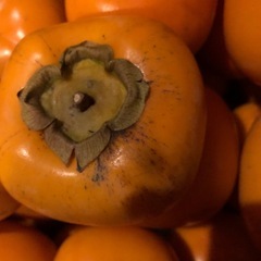 C【お取り引き】決定渋抜き済み柿　平柿　種無し柿　30個位の画像