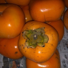 D[お取り引き決定]渋抜き済み柿　　種無し柿　平柿の画像