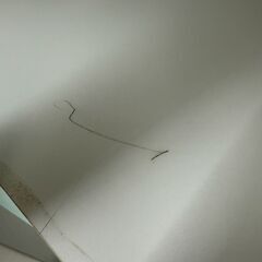 ✨️ジモティー割引✨️【ジャングルジャングル堺初芝店】　2枚扉食器棚　幅(W)595mm × 奥行(D)395mm × 高さ(H)1780mm　堺市（東区　西区　北区　南区　堺区　美原区）高石市　泉大津市　忠岡町　和泉市　松原市　大阪狭山市の画像