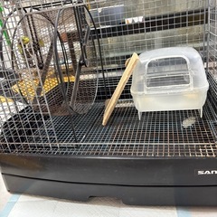 チンチラ飼育セットの画像