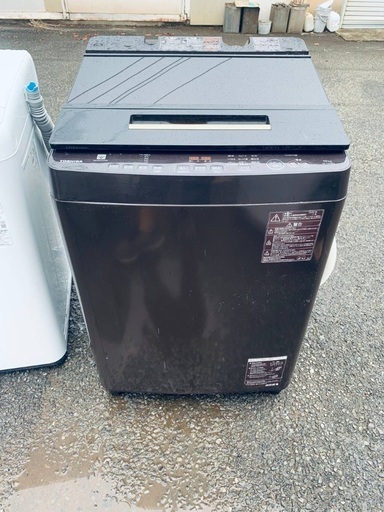 本物 ダイワ DAIWA タマンモンスター 10-50 遠投 新品未使用 ガーラ