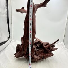 【❗️✨大型インテリア✨❗️】流木オブジェ　高さ約58cm・横幅約46cm✨自然造形・木製ディスプレイ台にも◎ 現状品の画像