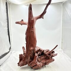 【❗️✨大型インテリア✨❗️】流木オブジェ　高さ約58cm・横幅約46cm✨自然造形・木製ディスプレイ台にも◎ 現状品の画像