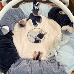 ベビー ジムメリーの画像