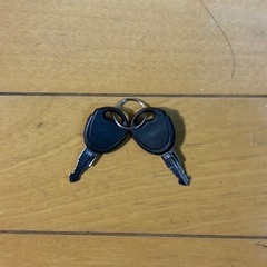 ⭐️【格安！】おしゃれな大型！L Lサイズ・100 Lタイプ！アーノルド・パーマーのスーツケース、キャリーケース！の画像