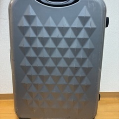 ⭐️【格安！】おしゃれな大型！L Lサイズ・100 Lタイプ！アーノルド・パーマーのスーツケース、キャリーケース！の画像