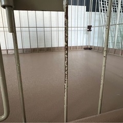 【交渉お気軽に！】ペット　犬　サークル　の画像