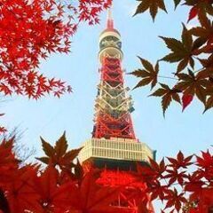 37～52才 東京散歩♪ ～1人参加～【芝公園】💖