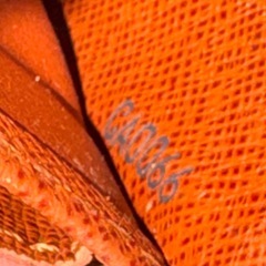 訳あり　ルイヴィトン　モノグラム　ジッピーウォレットの画像