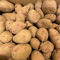 北海道直送じゃがいも‼️肉じゃがに❤️じゃがバターに❤️❤️❤️の画像