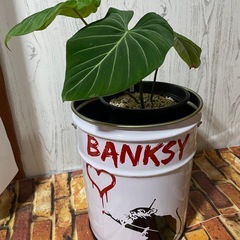 #11リメイクペール缶
の画像