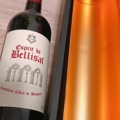 ワイン 三本 Côtes de Bordeaux コートドボルドー アルパカ セットの画像