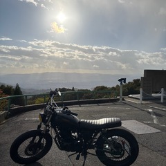 グラストラッカーの画像