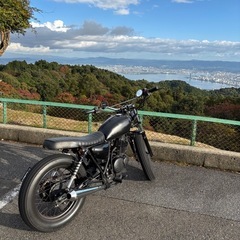 グラストラッカーの画像