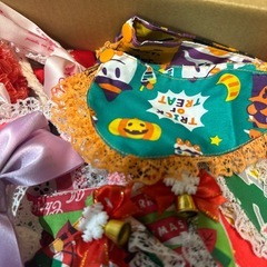 ペット用　リボン　スタイ等の画像