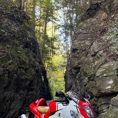 隼gsx1300rラッキーストライクカラーの画像