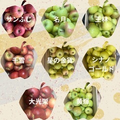 大好評！！！りんごの配達【1ヶ月分】【青森県産】【産地直送】の画像
