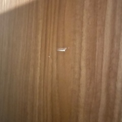 靴箱　シューズボックスの画像