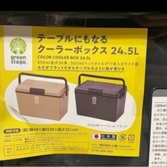 クーラーボックス　保冷ボックス　24.5リッターの画像