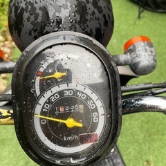 HONDA TODAY FI の画像