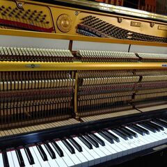 SR-85B　SSS内蔵【グランドに最も近いアップライト/現状渡し】APOLLOの画像