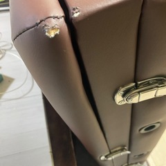 持ち運び式ベット(業務用)の画像