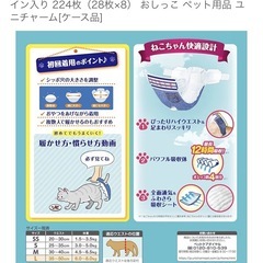 猫よう用マナーウェア　Lサイズ　3ふくろ袋の画像