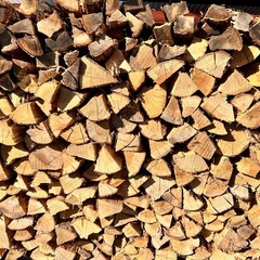 乾燥薪　ナラ割物　35〜45cmの画像