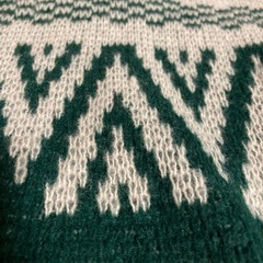 メンズ
グリーンのベスト。軽くてあたたかい の画像