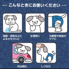ドギーマン ジーンズ風パンツ Lサイズ 12枚入り マナーパンツ おむつ ペット 犬　在庫2袋有の画像