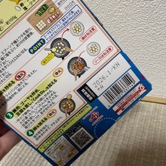 ゴーヤチャンプルーの素の画像