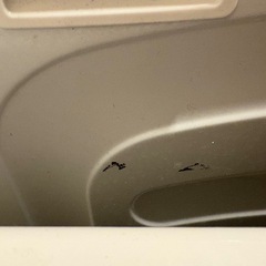 2025年購入　ニトリ　ND100KL1 10kg 　ドラム式乾燥
洗濯機　の画像