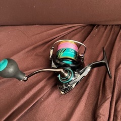 エメラルダス　リールの画像