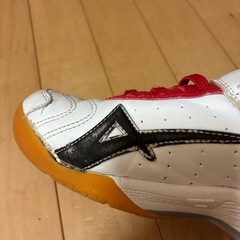 ⚫︎VISION QUEST⚫︎バドミントンシューズ 23㎝の画像