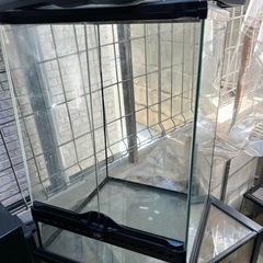 GEX グラステラリウム3045の画像