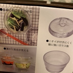 イシガキ　浅漬けグラス大の画像