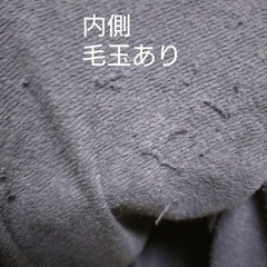 ８Lサイズ　earthmusic＆ecologyのトレーナー　ぽわん袖の画像