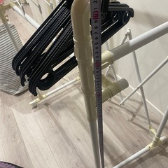 伸び縮みハンガーラック？の画像