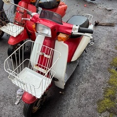 スズキ　蘭　50cc ラン　らん　スクーター　原付　バイクの画像