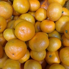 八幡浜みかんハネ5キロ②の画像