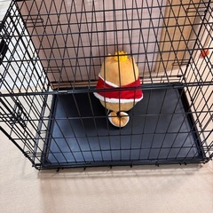 ペットゲージの画像