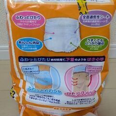 うす型パンツ　10枚　M〜L　男女兼用　大人用紙おむつ　エルモア　オムツの画像